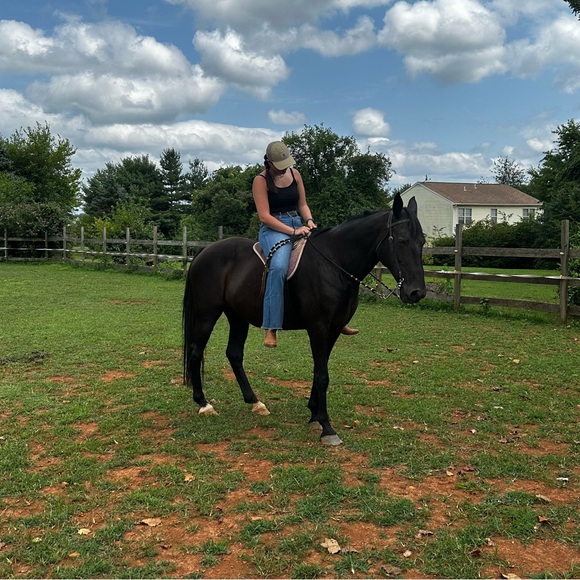 Meet your Posher, Bethany - Picture 2 of 6